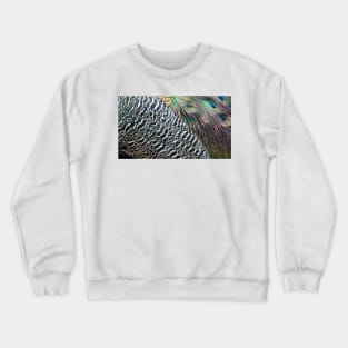 Peacock Feathers Crewneck Sweatshirt